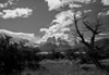 torres del paine - chile