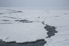 the ice on the frozen ocean is breaking up - near bylot island
