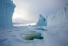 icebergs in the frozen ocean - near bylot island