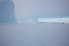 heading away from the icebergs - near bylot island