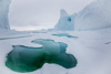 icebergs in the frozen ocean - near bylot island