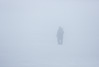 walking in the fog - 