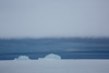 icebergs and camp on the frozen ocean - near bylot island