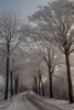 wintery street - near Aachen