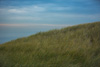 isle of sylt - on the dunes