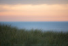 isle of sylt - on the dunes