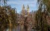 central park - 