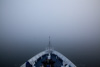 into the fog - 