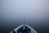 into the fog - 
