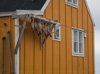 upernavik - west coast of greenland