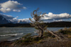 torres del paine  - lago grey