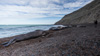 big male elephant seal and diego - (mirounga leonina) südlicher see-elefant, elefante marino del sur