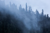 clouds and forest - at nakina river, bc, canada