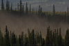 along dempster highway - yukon territories, canada