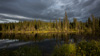 lake near whitehorse - yukon territories, canada