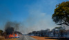 bushfire at roadside - (mostly layed by poachers)