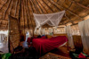 living at mcbride's camp - kafue national park