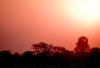 african sunset - 