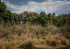 lower zambezi national park - in september