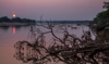 sunset - over south luangwa