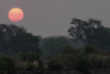 african sunset  - south luangwa national park